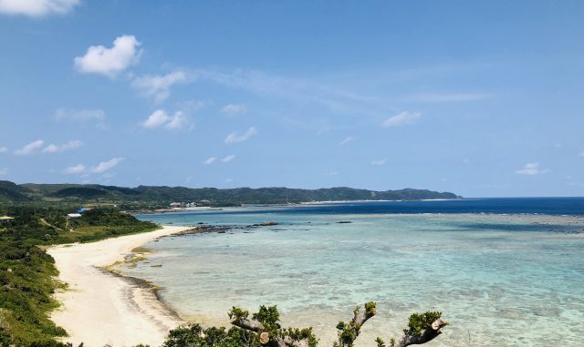 奄美大島