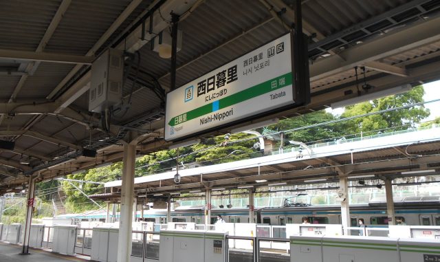 23986234_s