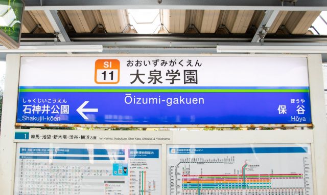 22999412_s